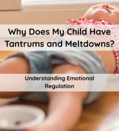 Why Does My Child Have Tantrums and Meltdowns? Understanding Emotional Regulation