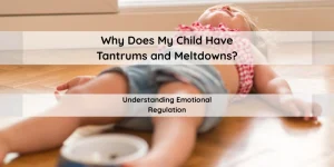 Why Does My Child Have Tantrums and Meltdowns